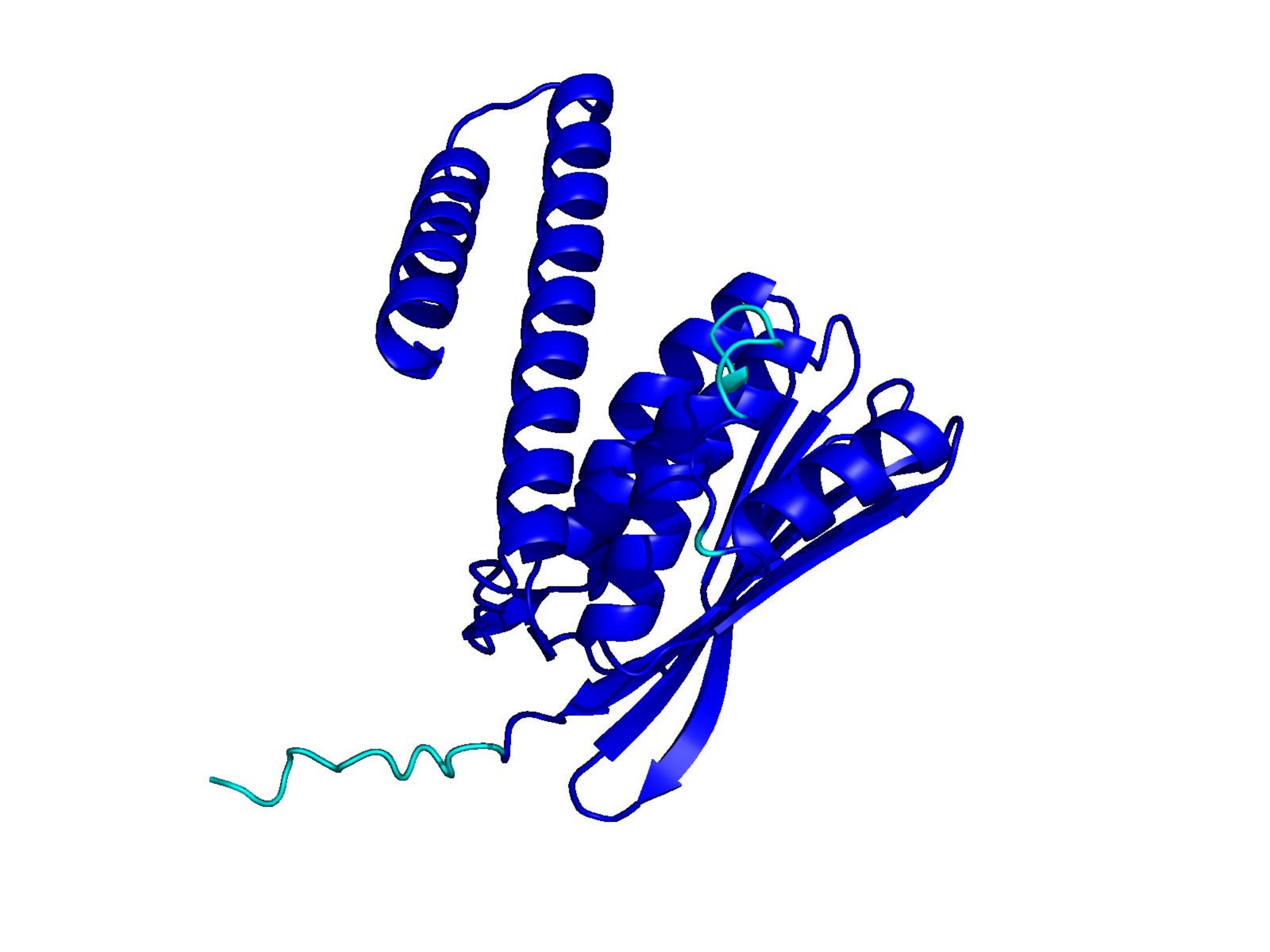 ProtGPT2 generated protein, 236 residues