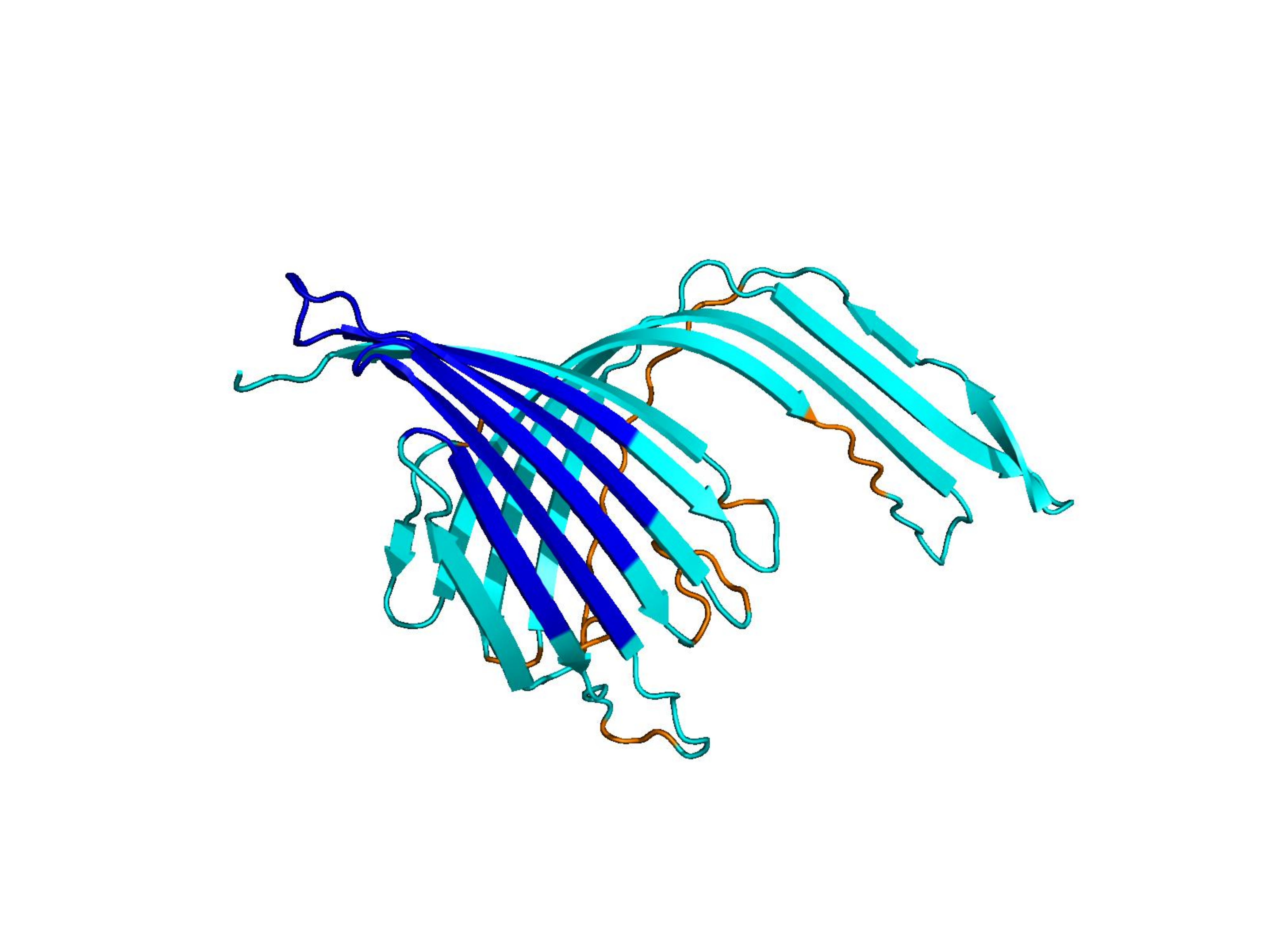 ProtGPT2 generated protein, 262 residues