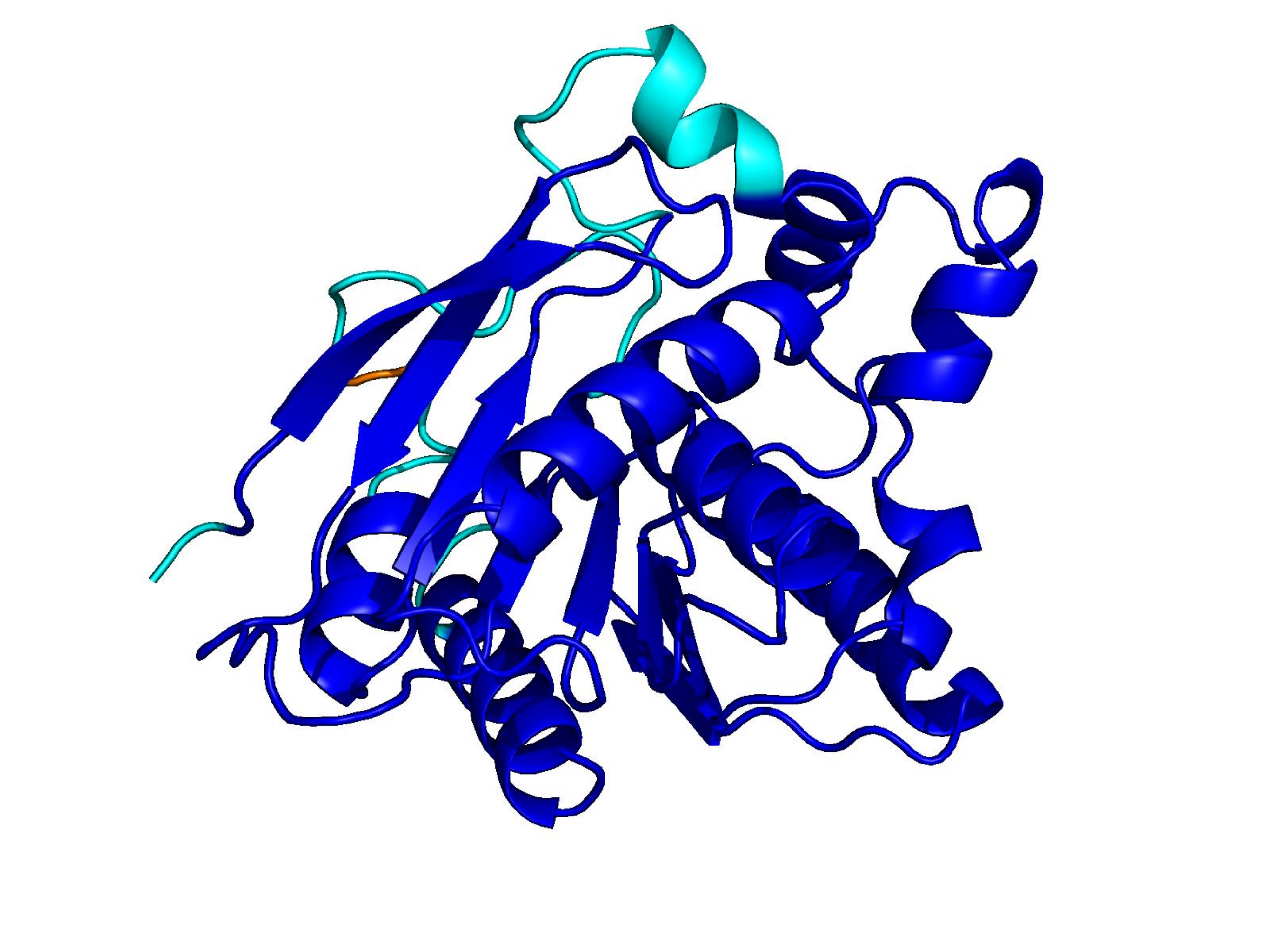 Natural CATH protein, 256 residues