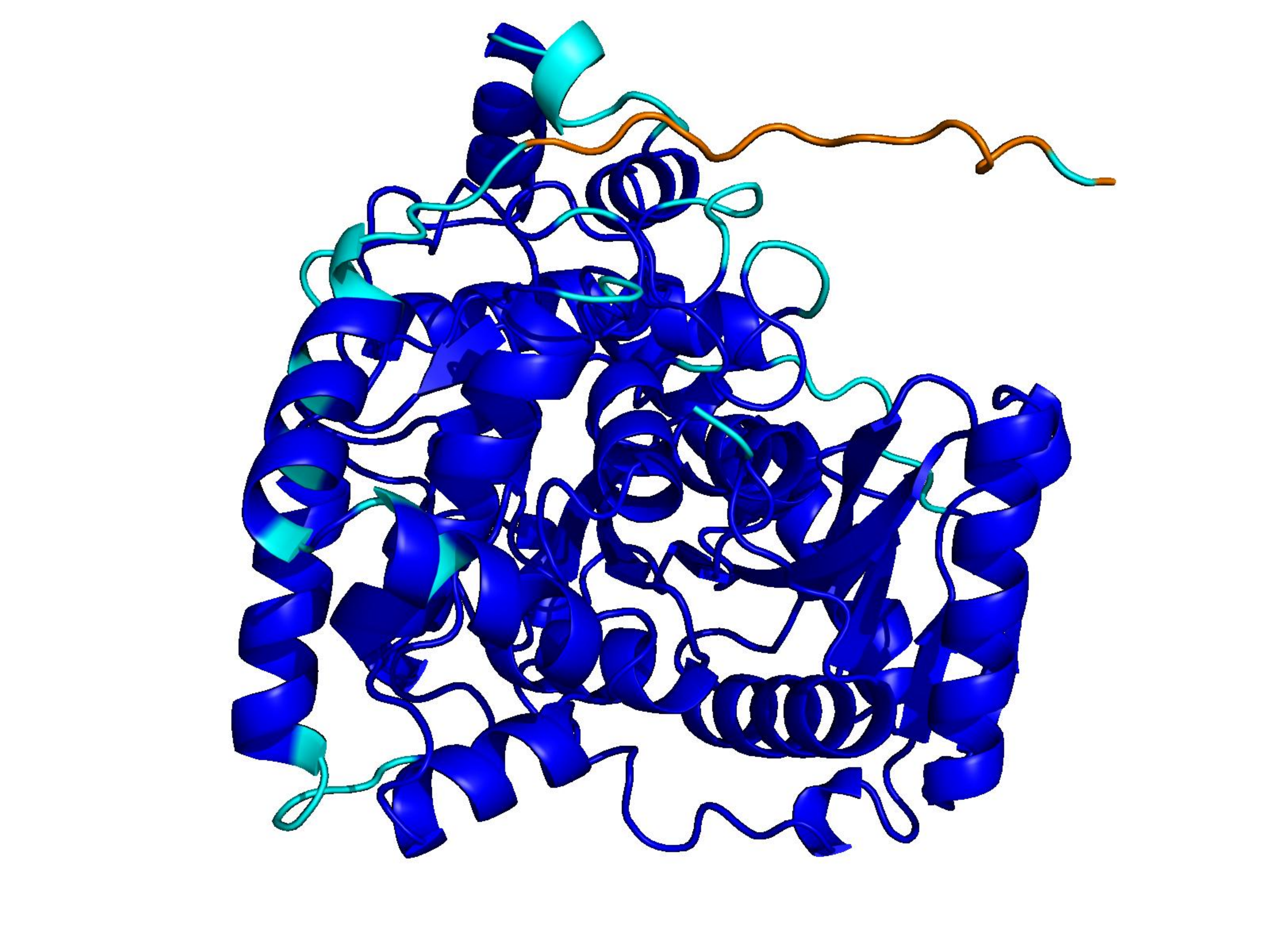 Natural CATH protein, 513 residues
