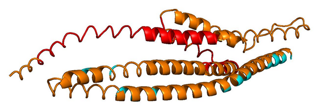 ESM-3 generation collapsing into homopolymer