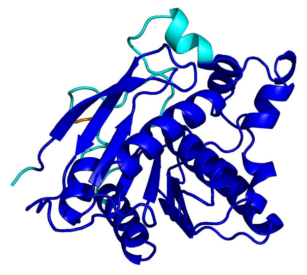 CATH natural protein