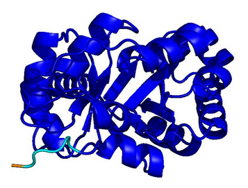 UniRef50 natural protein