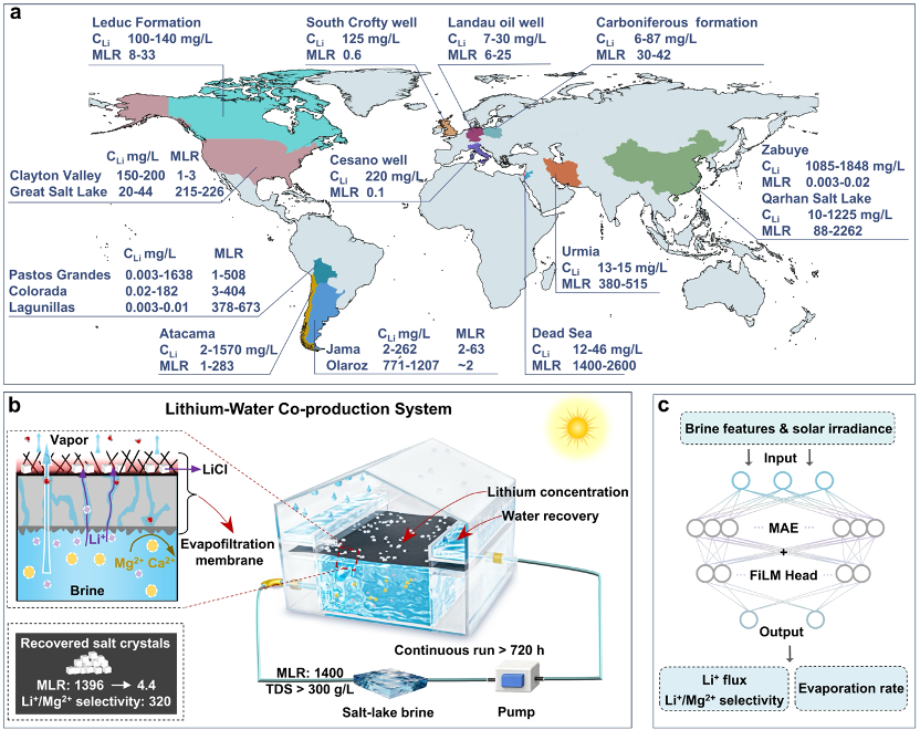 Solar-driven evapofiltration enables co-production of lithium and freshwater from extreme brines cover